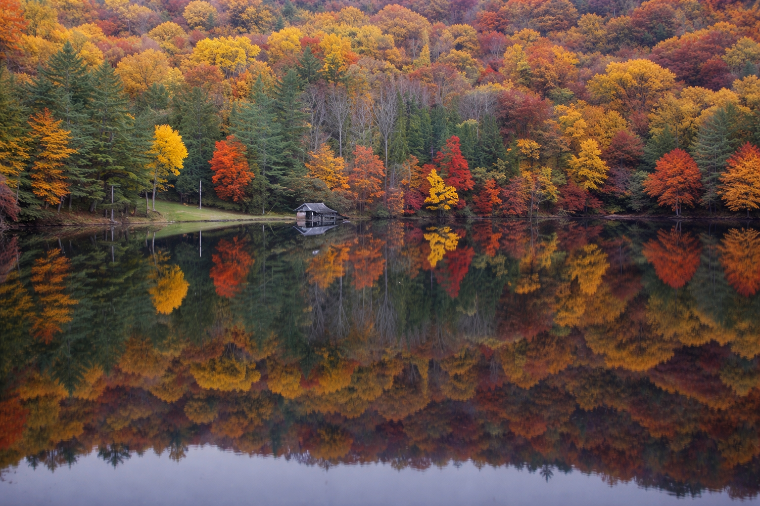 Exploring the Spiritual Wisdom of the Trees